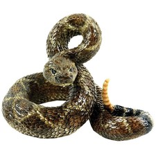 Realistic Western Diamondback